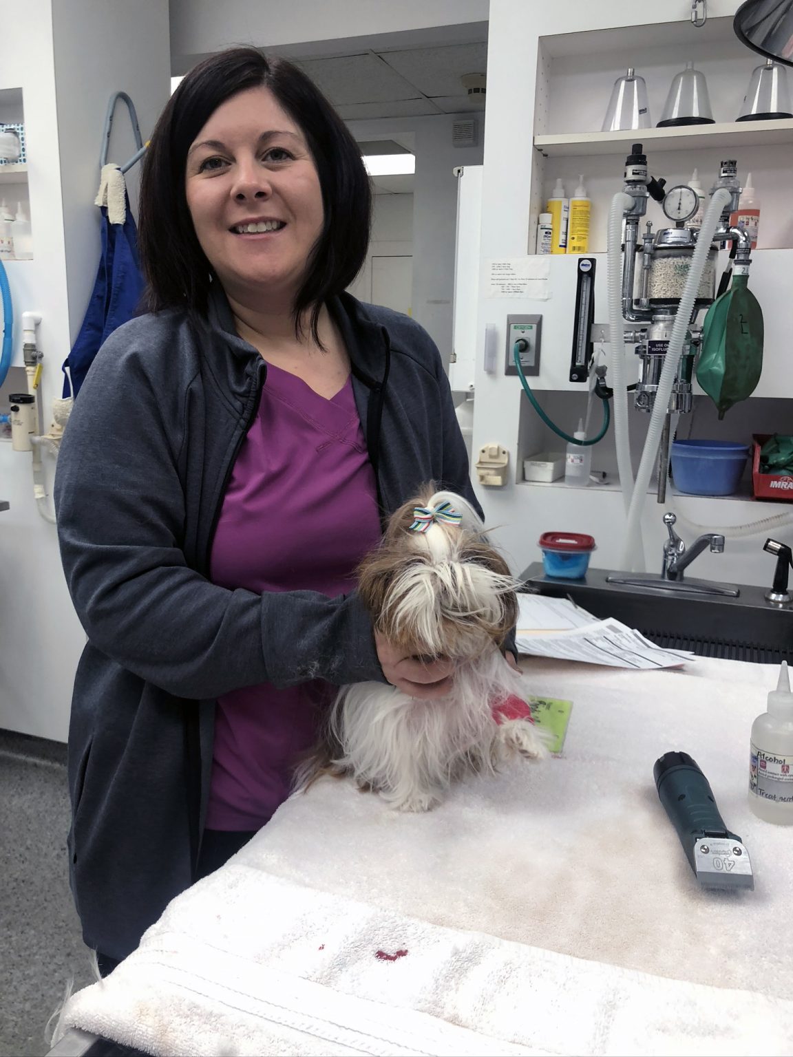 Dog and Cat Grooming Services in Charleston, South Carolina