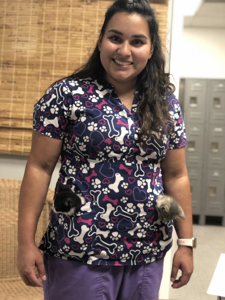 About Our Veterinary Team in Charleston, South Carolina